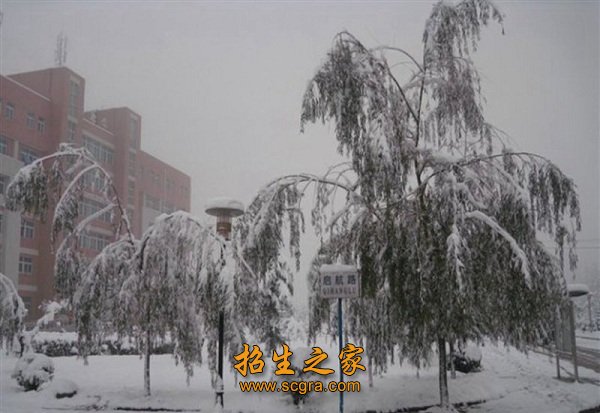 学校环境