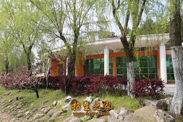 学校环境