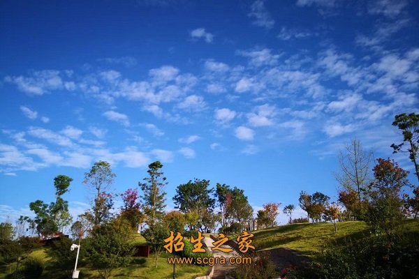 学校环境