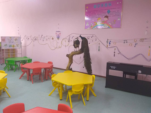 成都市中山职业技术学校学前教育(幼儿教育)介绍