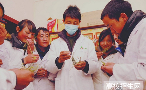 四川省阿坝卫生学校