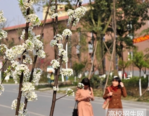 四川文理学院小学教育专业