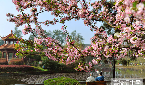 四川大学医学院