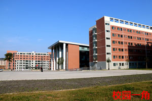 绵阳广播电视大学 绵阳广播电视大学
