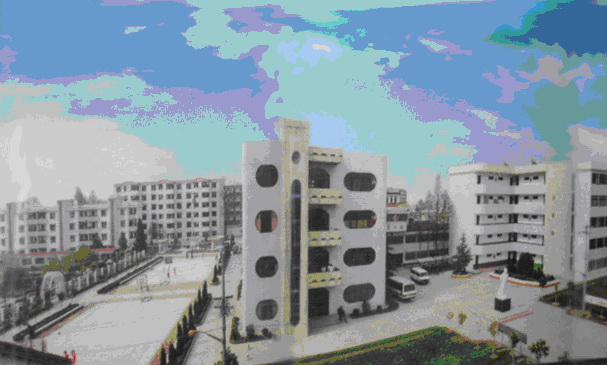 1 1