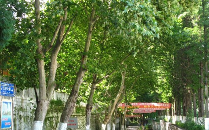 贵州省人民医院护士学校农村医学专业招生