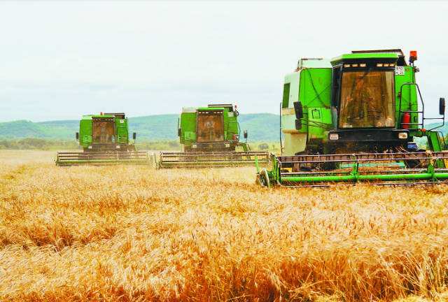 设施农业技术专业 设施农业技术专业