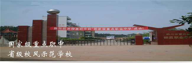 宜宾县柳嘉职业技术学校图片、照片 宜宾县柳嘉职业技术学校图片、照片