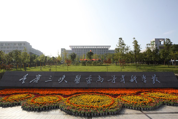 职业学校排名 职业学校排名