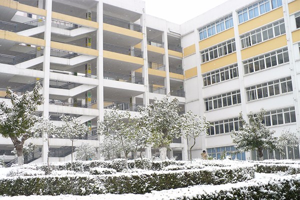 职业技术学院 职业技术学院