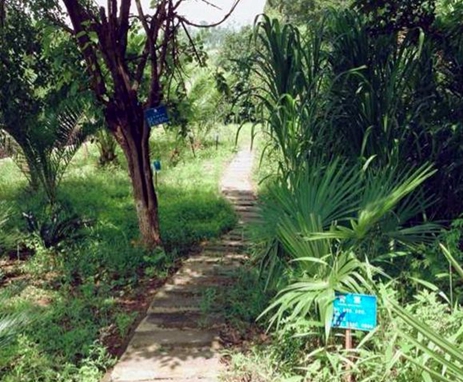 楚雄医药高等专科学校临床医学专业招生