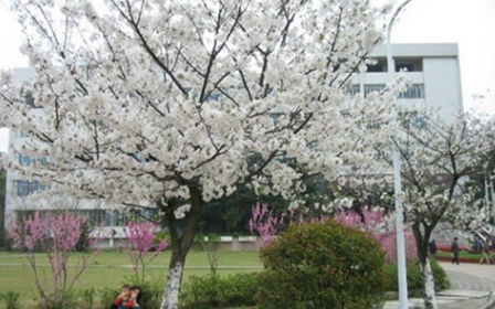 大理大学医学院药物制剂专业招生