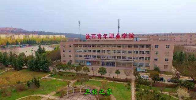 陕西青年职业学院2025年专业有哪些
