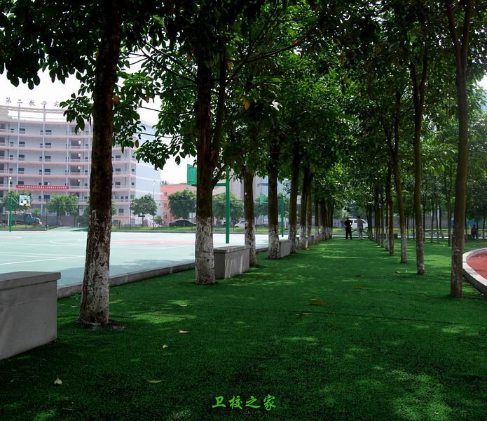 重庆公共运输职业学院的环境好不好