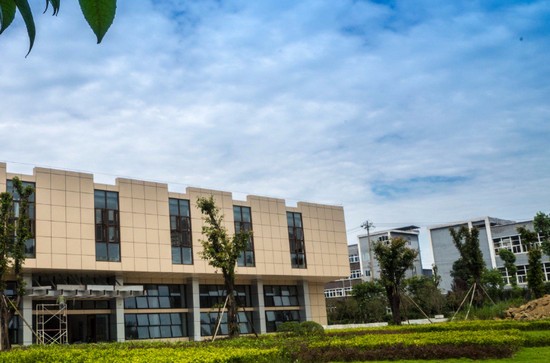 重庆市护理职业学院招生录取分数线