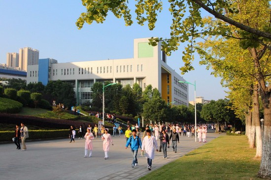 重庆市三峡医药高等专科学校招生录取分数线