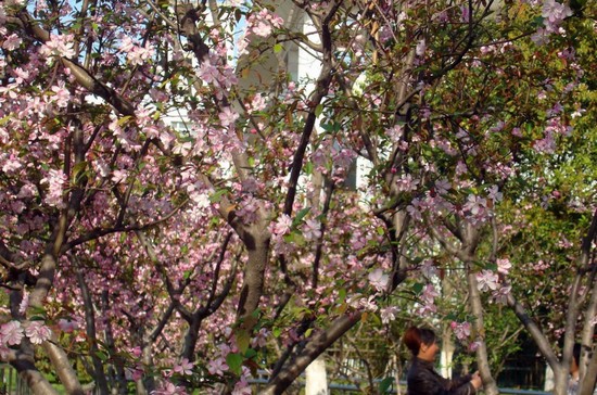 重庆市医药科技学校寝室宿舍条件与学校食堂环境图片
