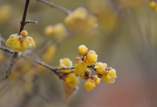 重庆市医药科技学校有哪些专业及什么专业好