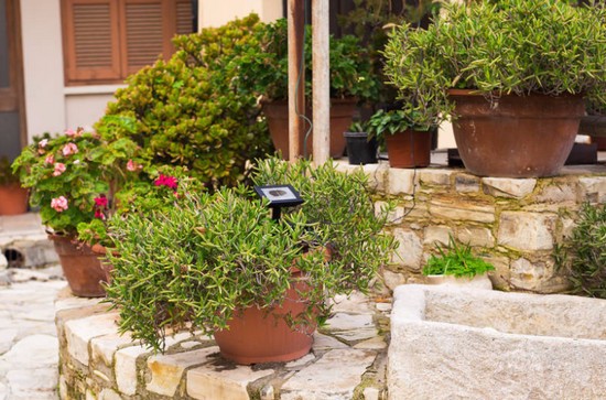 重庆市医药经贸卫生学校寝室宿舍条件与学校食堂环境图片