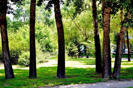 2025年长白山职业技术学院怎么样