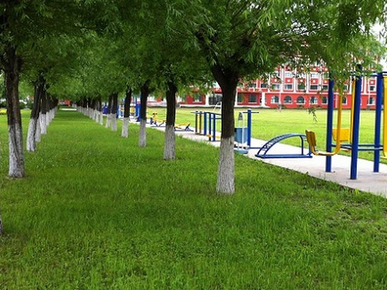 2025年黑河市职业技术教育中心学校怎么样