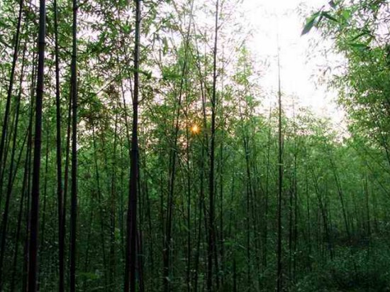 2025年济宁医学院怎么样