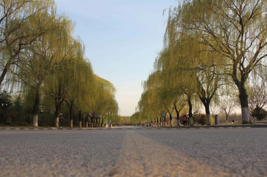 2025年泰山医学院怎么样