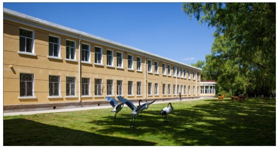 2025年齐齐哈尔市卫生学校怎么样