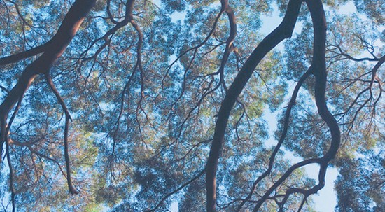 2025年深圳大学医学部怎么样