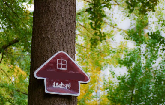重庆市医药学校寝室宿舍条件与学校食堂环境图片