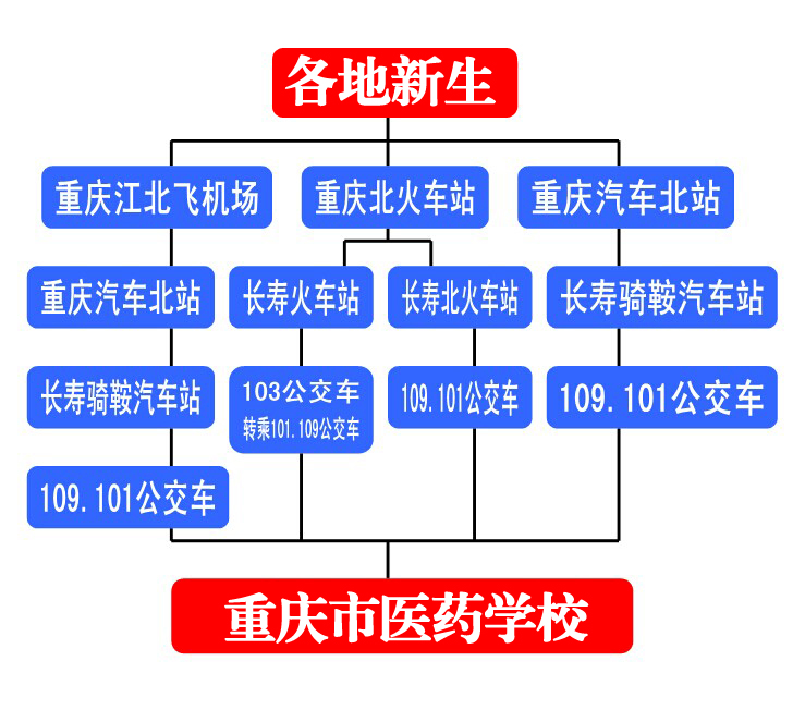 重庆市医药学校网站网址联系方式