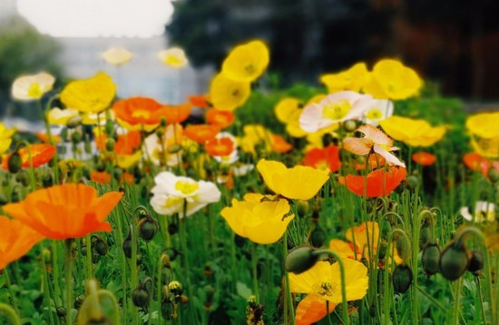 重庆市万州卫生职业学校有哪些专业及什么专业好