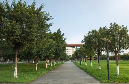 重庆市护士学校招生录取分数线