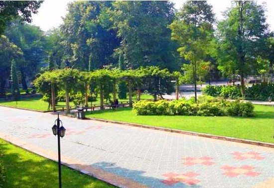 贵州省卫生学校招生录取分数线