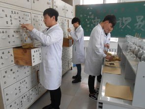 黑龙江医药卫生职业学校学费是多少钱及收费标准