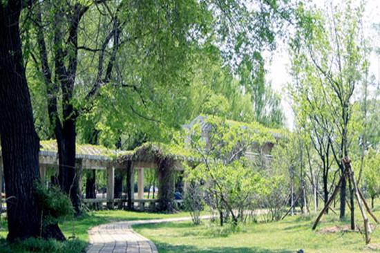 吉林农业科技学院中药学院寝室宿舍条件与学校食堂环境图片