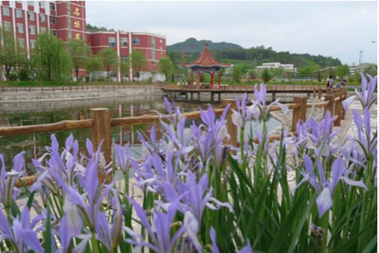 吉林通化市卫生学校有哪些专业及什么专业好