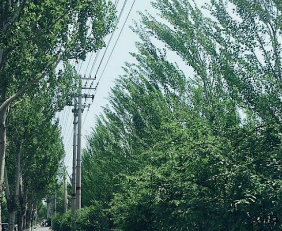 鞍山卫生学校有哪些专业及什么专业好