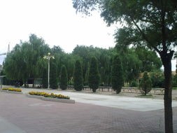 太原市卫生学校招生录取分数线