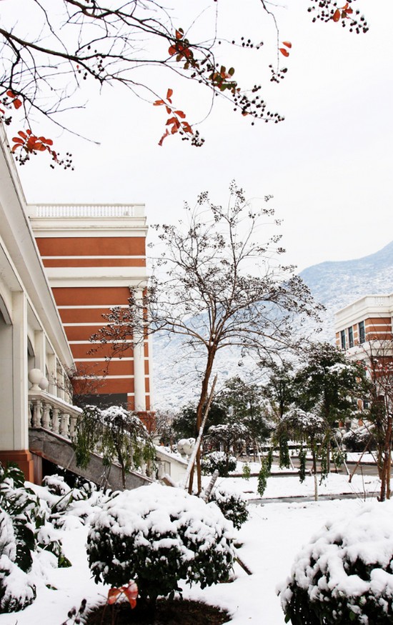 温州医科大学招生简介及招生计划要求