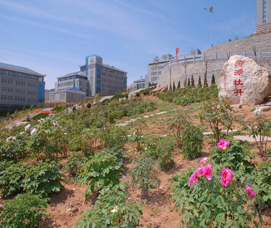 潍坊护理职业学院招生简介及招生计划要求