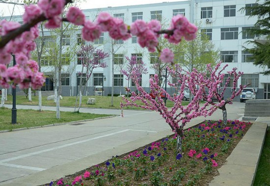 山东省莱阳卫生学校寝室宿舍条件与学校食堂环境图片
