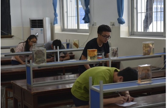 大连大学职业技术学院招生办电话及联系方式