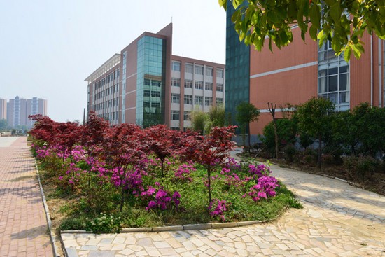 南阳医学高等专科学校有哪些专业及什么专业好