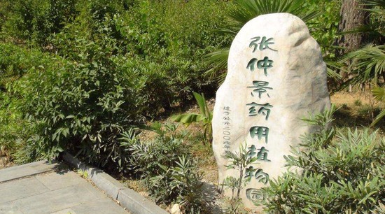 南阳理工学院张仲景国医学院招生录取分数线