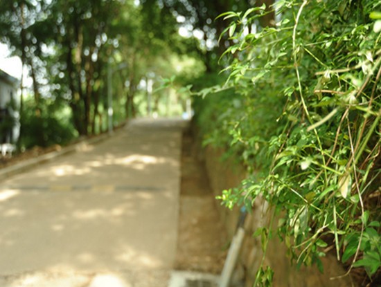 武汉民政职业学院有哪些专业及什么专业好