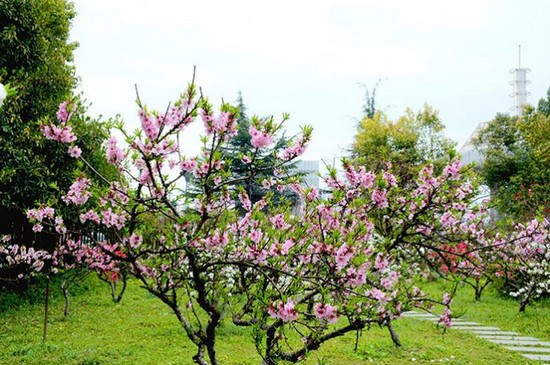 仙桃职业学院医学院有哪些专业及什么专业好