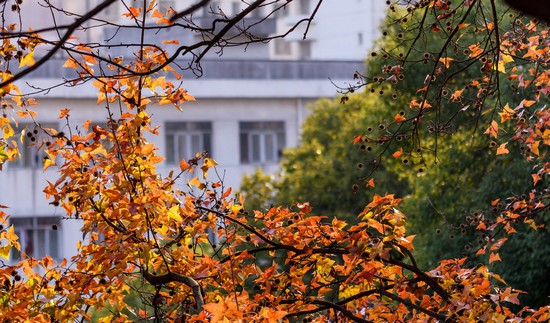 湖南师范大学医学院招生录取分数线