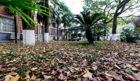 湖南师范大学医学院寝室宿舍条件与学校食堂环境图片