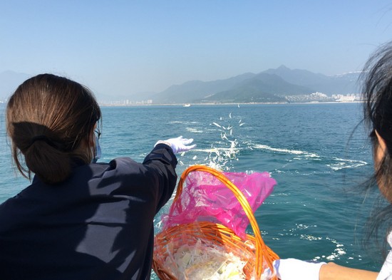 深圳大学医学部招生老师QQ及电话